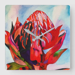 Waratah Australische waterverf van inheemse bloeme Vierkante Klok