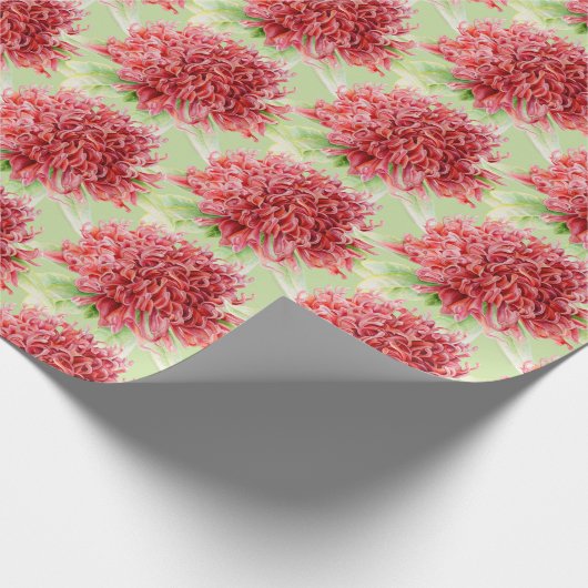Waratah rode botanica waterverf kunst wrap cadeaupapier (Hoek)
