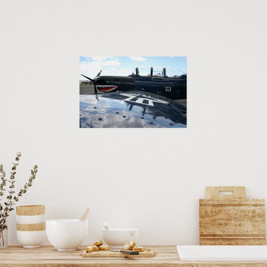 Warbird Poster (Keuken)
