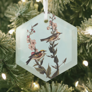 Warbler Audubon Bird op Wildflower Glas Ornament