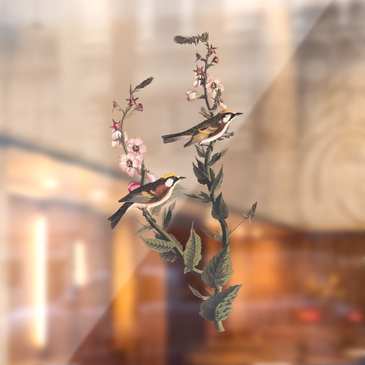 Warbler Audubon Bird op Wildflower Raamsticker (Vel 2)
