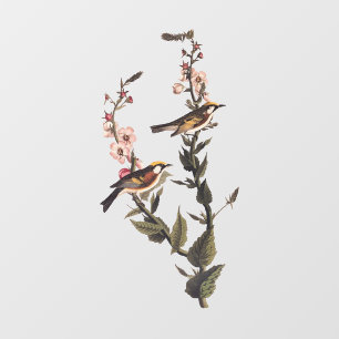 Warbler Audubon Bird op Wildflower Raamsticker