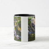 Warbler Bird Photo Mug Mok (Midden)