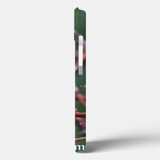 Warbler Case-Mate iPhone Case (Achterkant / Links)