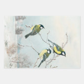 Warbler en Wrens, Inpakpapier Vel (Voorkant 3)