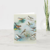 Warbler en Wrens, Kaart (Voorkant)