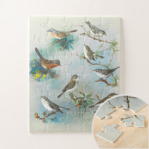 Warbler en Wrens, Legpuzzel