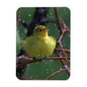 Warbler Magneet (Verticaal)