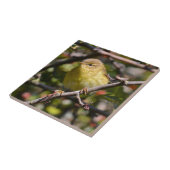 Warbler Tile/Trivet Tegeltje (Zijkant)