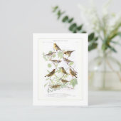 Warblers Briefkaart (Staand voorkant)