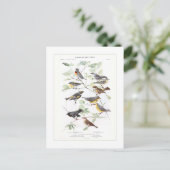 Warblers Briefkaart (Staand voorkant)