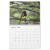 Warblers Kalender (Feb 2026)