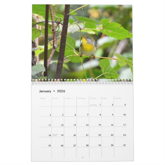 Warblers Kalender (Jan 2026)