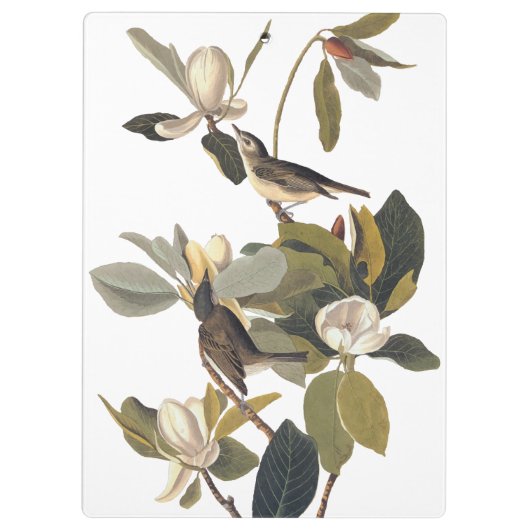 Warbling Flycatcher Kingbird Audubon Klembord (Achterkant)