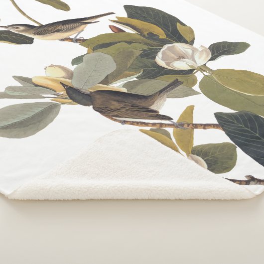 Warbling Flycatcher Kingbird  Audubon Sherpa Deken (3/4)