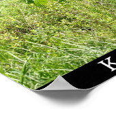 Ward Lake in Ketchikan, Alaska Poster (Hoek)