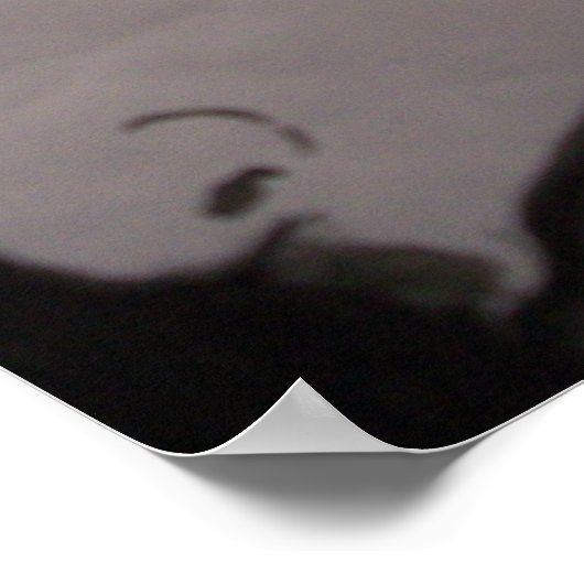 ware duisternis poster (Hoek)