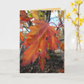 Ware Kleuren Kaart (Gele Bloem)