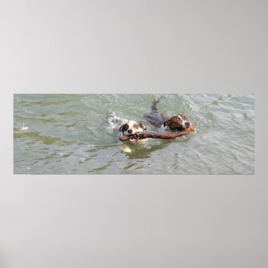 ware liefde poster (Voorkant)