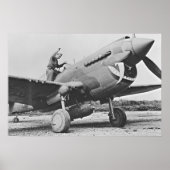 Warhawk P40 1943 Poster (Voorkant)