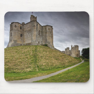 Warkworth Castle in Northumberland, Engeland Muismat