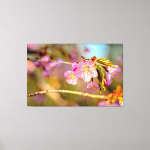 Warm Colors of Sakura Flowers in Hanami Season Canvas Afdruk