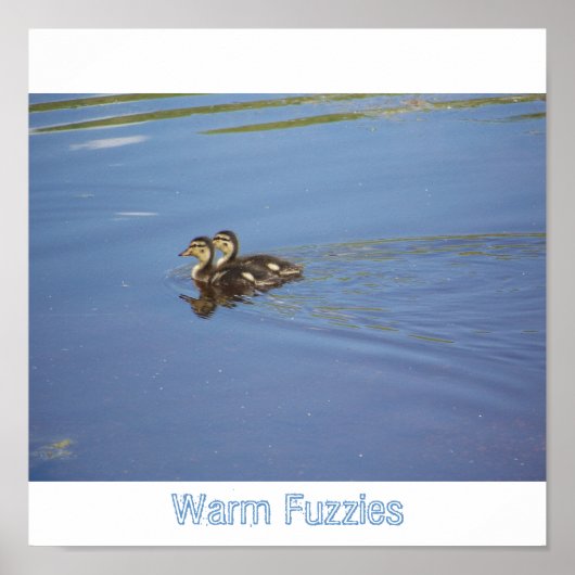 Warm Fuzzies Poster (Voorkant)