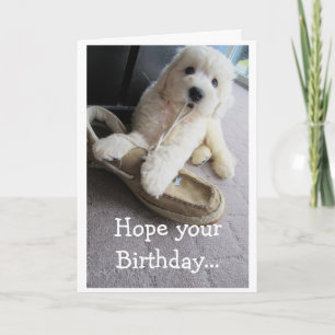 Warm Fuzzy Birthday, Cute Goldendoedle pup Humor Kaart