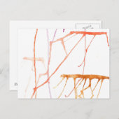 Warm Jelly Fish Briefkaart (Voorkant / Achterkant)