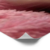 Warm Kitten in een mandje Poster (Hoek)