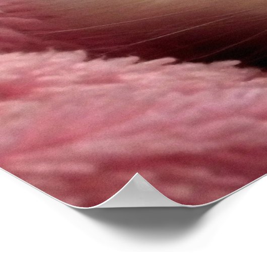 Warm Kitten in een mandje Poster (Hoek)