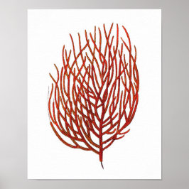 Warm Red Zee Coral no.9 Beach Wall Art Afdrukken Poster