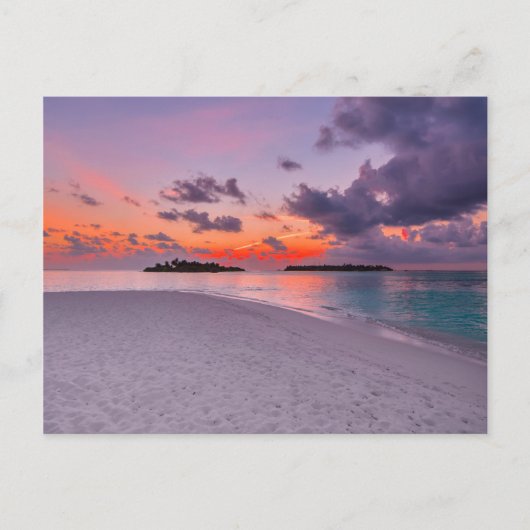 Warm Tropisch Paradise Beach Sunset Briefkaart (Voorkant)