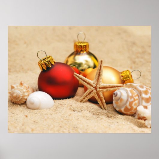 Warm Weather Kerstmis Poster (Voorkant)