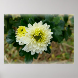 warm wit van herfst poster
