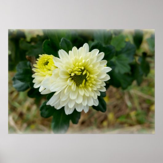warm wit van herfst poster (Voorkant)
