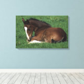 Warmbloeslade Canvas Afdruk (Insitu (Houten vloer))