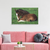 Warmbloeslade Canvas Afdruk (Insitu (Woonkamer))
