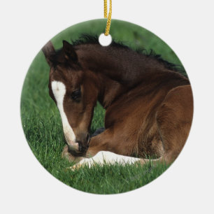 Warmbloeslade Keramisch Ornament