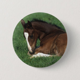 Warmbloeslade Ronde Button 5,7 Cm