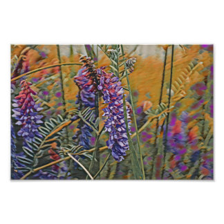 Warme Arctische lupine-kleuren Foto Afdruk