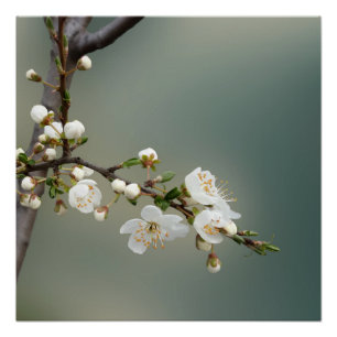 warme lente perfect poster