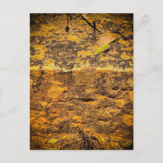 Warme Mosachtige Rotsstructuur Briefkaart