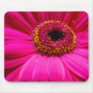 warme roze gerber daisy muismat