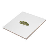 Warmouth Bass Tegeltje (Zijkant)