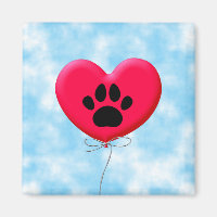 Warmtekaartballon met een dubbele wand