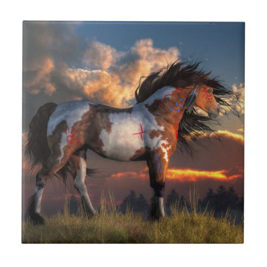 Warpaard Tegeltje (Voorkant)