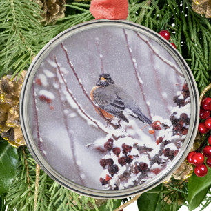 Warrior American Robin in Winter Metalen Ornament