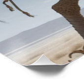Warrior Ostrich Perfect Poster (Hoek)