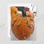 Warted Pumpkin Briefkaart (Voorkant / Achterkant)